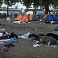 Страны Шенгенской зоны начинают вводить пограничный контроль из-за непрекращающегося притока беженцев