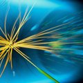 VIDEOD: CERNi füüsikud - "Jumala osake" on leitud!