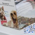 Молодежь Пыхья-Таллинна запустила новую кампанию помощи бездомным животным