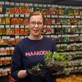 KUULA | „Eva Luigase kõnetraat“ jagas tomatikasvatuse ja marjapõõsaste hooldamise nippe ning lahkas külvikalendrite erinevusi