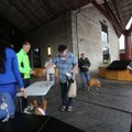 Молодежь Пыхья-Таллиннского круглого стола собирает пожертвования для приюта животных