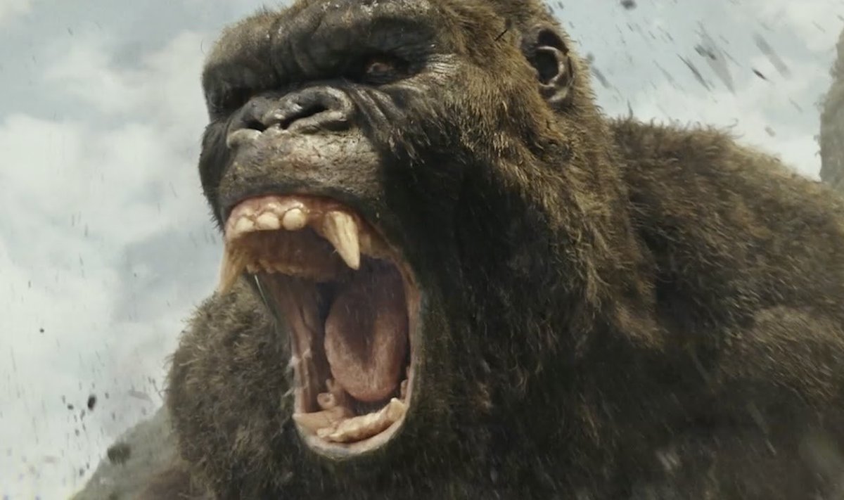 "Kong: Pealuu saar"