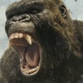 TREILER: "Kong: Pealuu saar" paneb hiidahvi võitlema nii inimeste kui ka koletistega