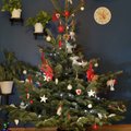 KONKURSS: Minu kaunis jõulupuu