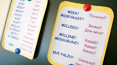 PÄEVA TEEMA | Priit Ratassepp: paneme vene keelt rääkivad inimesed fakti ette - kasuta eesti keelt või jää hätta