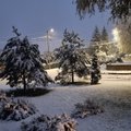 ФОТО и ВИДЕО | Зима пришла! В разных уголках Эстонии выпал снег
