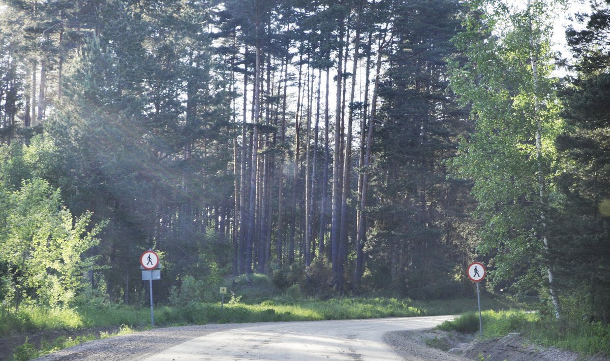 Perdaku:Eesti-Vene piirileping muudab ajutise kontrolljoone riigipiiriks.Pildil:Saatse saapa tee.