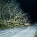 DELFI FOTOD: Saaremaal tekitas torm öösel paksu pahandust