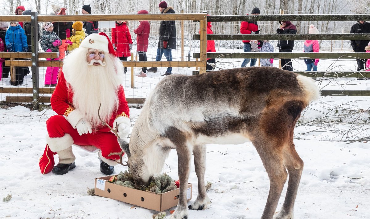 USUME JÕULUVANA: Kaja Kallas ütles, et jõuluvana pole olemas. Lapsevanemad on selle peale pahased.