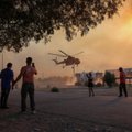 Греция в огне: власти говорят об изменении климата, отельеры - о катастрофе библейских масштабов