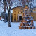 Haljala koolipere ehitas jõulupuu vanadest laudadest-toolidest
