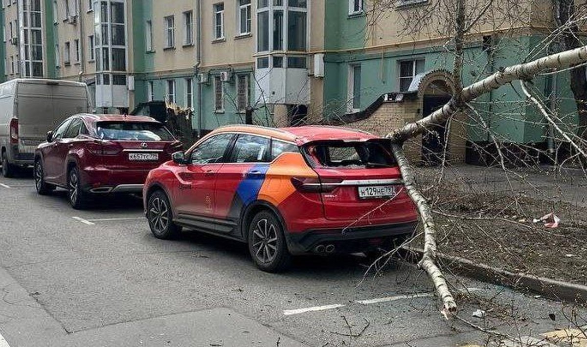 Последствия шторма в Москве