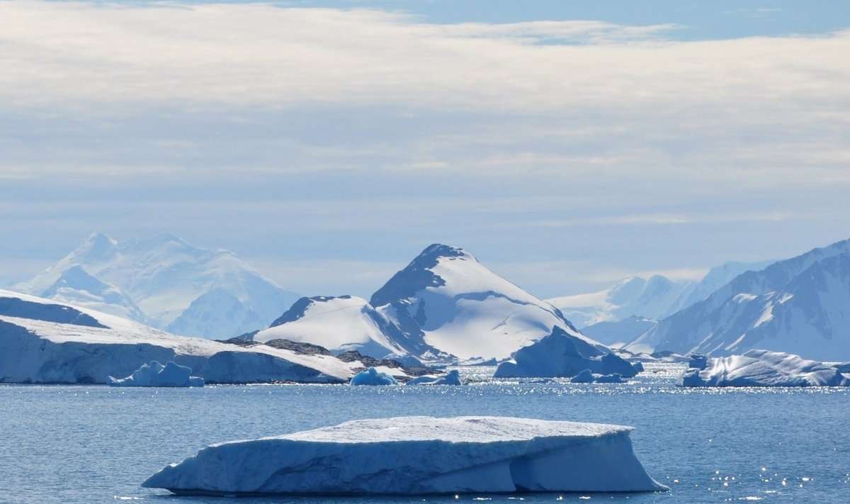 Lõunaookeanis asuv Webbi saar Antarktika lähistel (Foto: Wikimedia Commons / Vincent van Zeijst)