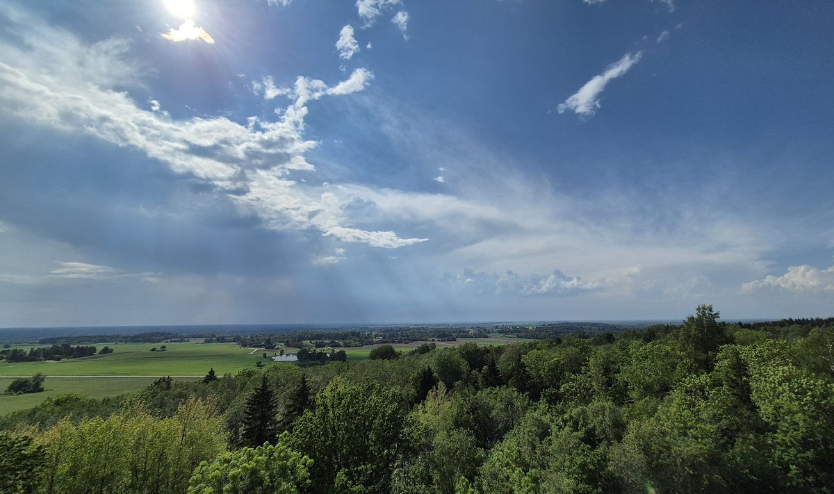 Pandivere kõrgustik