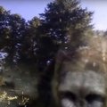 VIDEO: Mida teha karuga, kes kinnisesse autosse ronis ja end luku taha pani?
