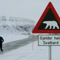 Удивительное место в Норвегии, где запрещены кошки, а на прогулку с собакой нужно брать ружье против медведей