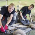 Eesti noored maastikuehitajad võistlevad maailma tippudega