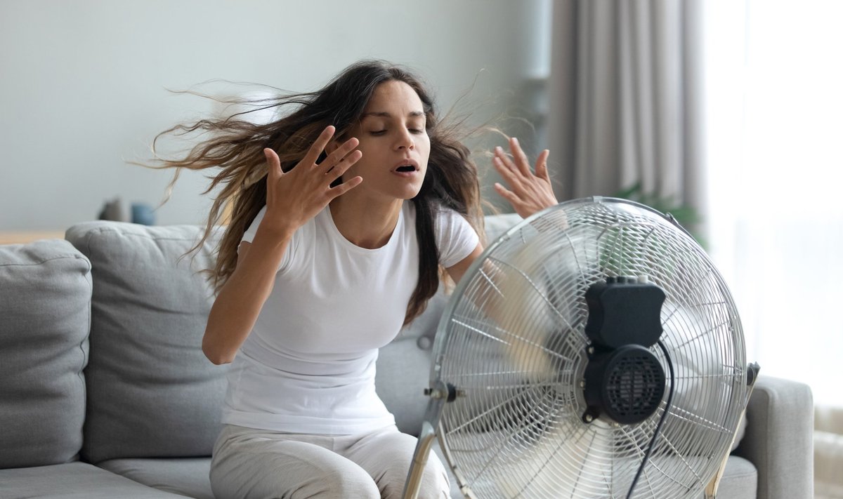 Millist ventilaatorit või jahutit osta, kui kuumus ligi tikub?