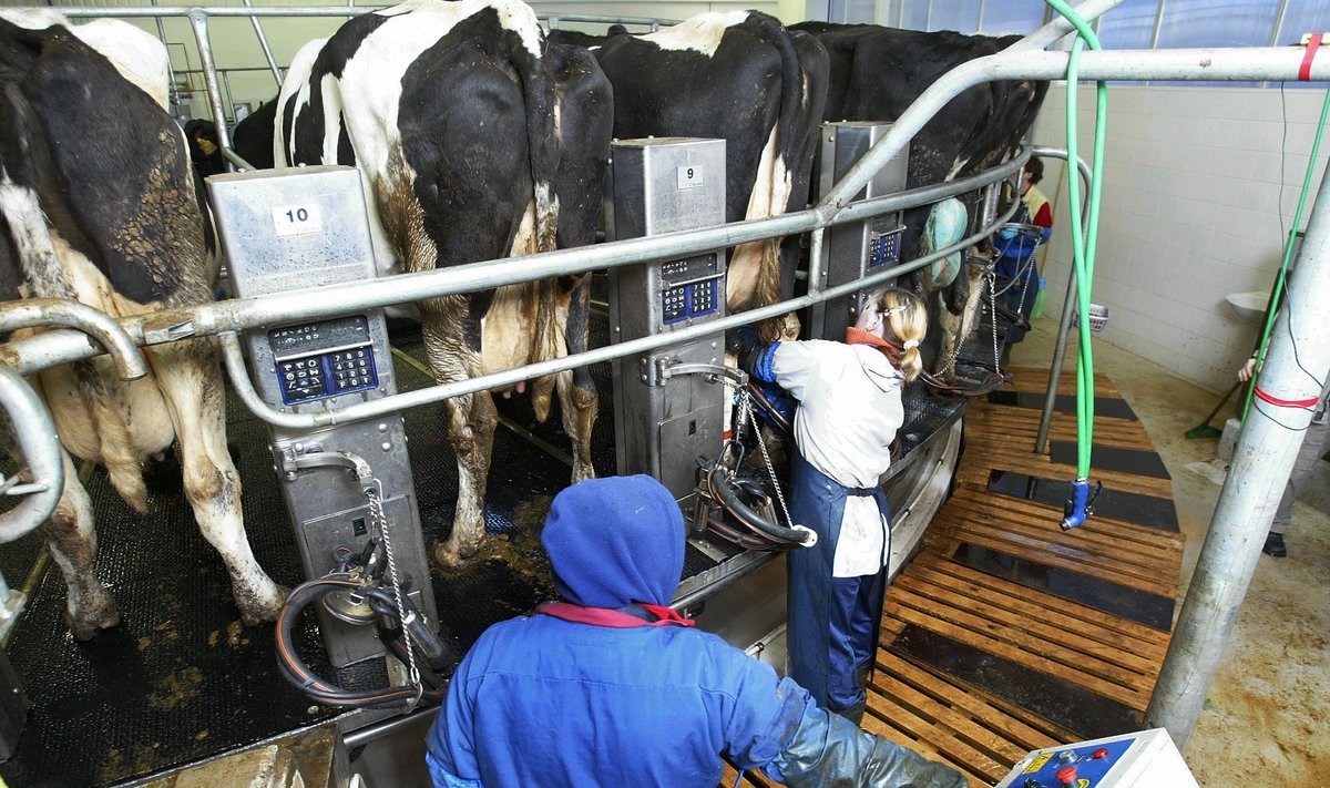 Piimafarm Eestis
