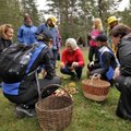 SEENEKALENDER | Vaata, kuhu minna seenenäitustele ja -retkedele!