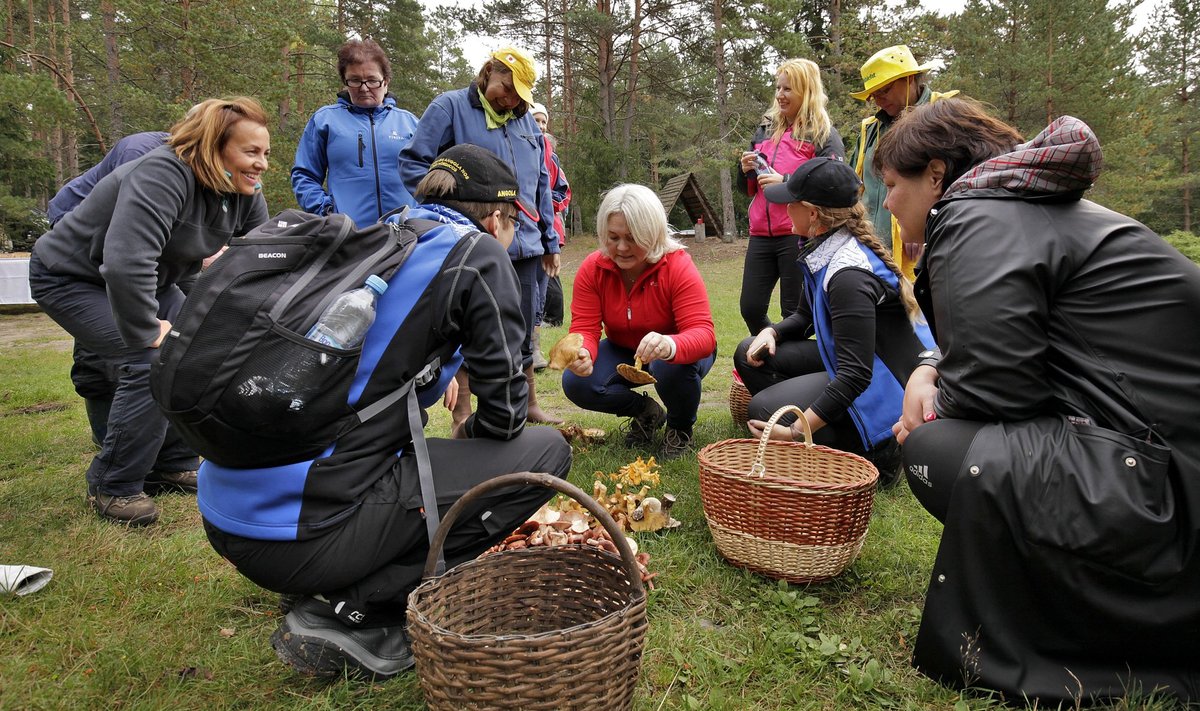 Seeneretkedel on kõige parem mükoloogidelt uurida, mis seen see ikkagi on.