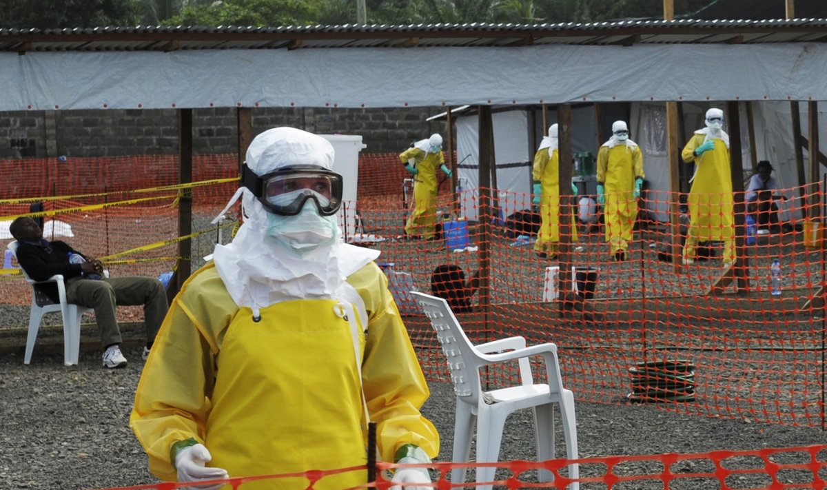 Ebola viirushaigus