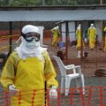 ВОЗ заявила о неизбежности распространения лихорадки Эбола в Европе