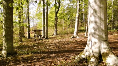 Eesti ei ole veel pöögimaa, aga see võib muutuda