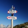 The Telegraph: Европе нужно готовиться к выходу США из НАТО