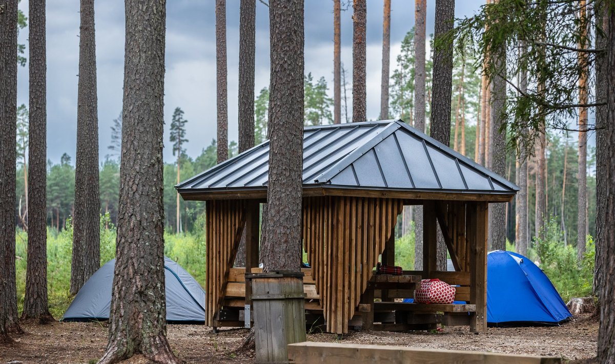 RMK telkimisaladel ööbimine on muutunud üha populaarsemaks. 