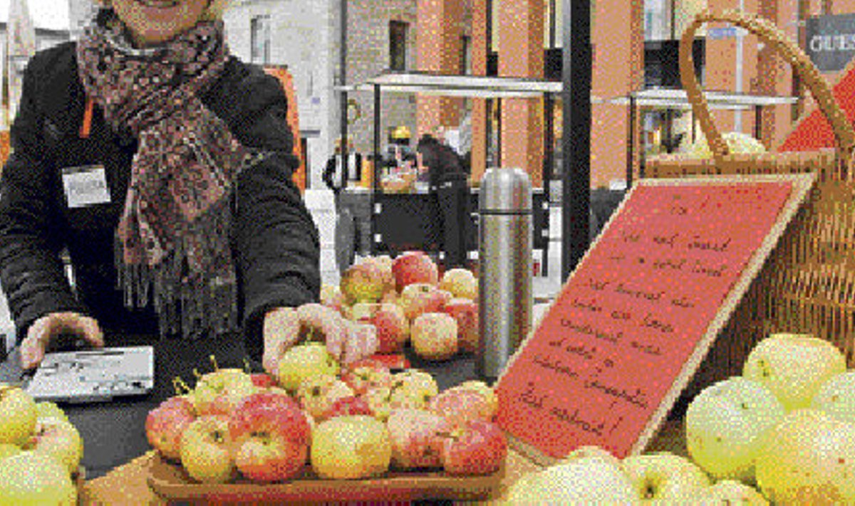 Krista müüs eile Rotermanni turul Elvast pärit õunu. Külma ja vihmase ilma tõttu oli aga ostjaid vähevõitu.
