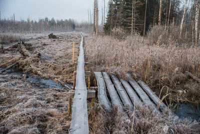 Tänane piiriolukord: üle oja on käepärastest vahenditest ehitatud väike sillake, et vajadusel saaks läbida lõiku sõiduvahenditega.