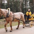 MAALEHT 35 | 1999: Vabaõhumuuseumi Jüri-Jaagu taluõuel tõmmati käima esimene Maalehe simman