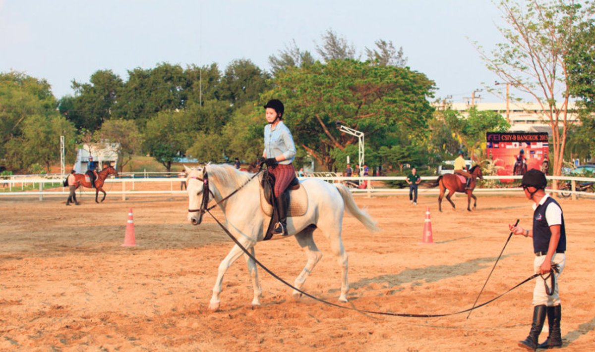 Noore hobuse õpetamine nõuab aega, kannatust ja investeeringuid.