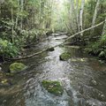Keskkonnaamet nõuab reostuse põhjustajalt Umbusi jõe seisundi parandamist