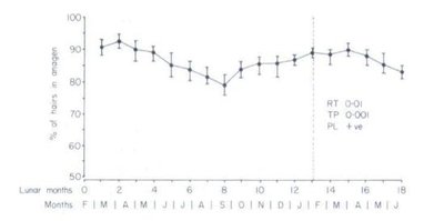 Изменение процента волос, находящихся в анагене, по месяцам