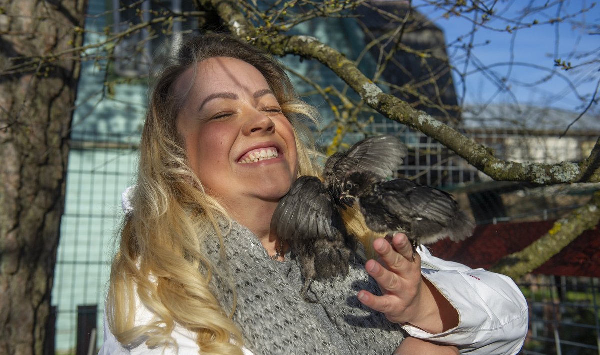 UUSKANAPIDAJA: Maria tõi endale Tallinna Nõmmele kanad esimest korda.