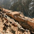 В горах Марокко зарезали двух скандинавских туристок