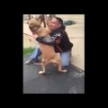 VIDEO | Pisarateni liigutav taaskohtumine: varastatud koer ei suuda oma õnne uskuda, kui ta aastaid hiljem omanikuga taas kohtub