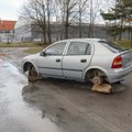 Mupo teisaldas kõnniteed blokeerinud Läti numbrimärgiga Opeli