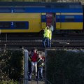Hollandis sai rongiõnnetuses viga üle 120 inimese