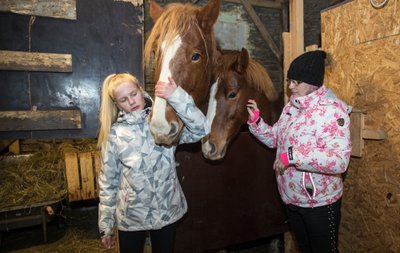 Hobused Ailiisi ja Kristeli vahel ei ole ema ja varss, vaid lihtsalt ühte nägu. Väiksem on ratsahobune, suurem tori tõugu raskeveohobune.