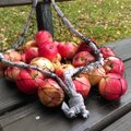 Kodumaised õunad on tervise sõbrad: saa teada, kuidas nende söömine sulle hästi mõjub