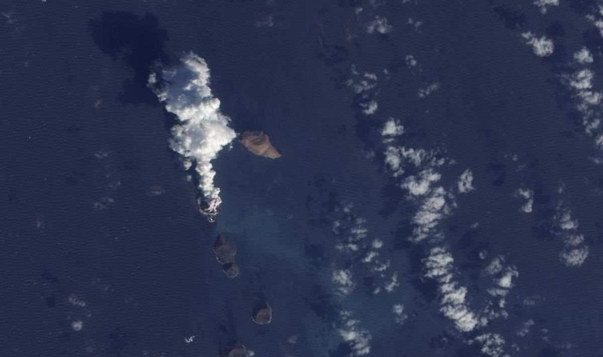 Vulkaanilise saare sünd Punases meres. Foto: NASA Earth Observatory