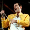 KUMMITAV FOTO | 28 aastat tagasi lahkunud Freddie Mercury viimane pilt tekitab külmavärinaid: ta oli näost kaame, kuid ta ei hoolinud