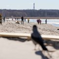 На трех пляжах в Эстонии плохое качество воды