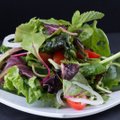 Jääsalat, peasalat või lollo rosso? Endiivia või radicchio? Millist salatit erinevate toitude juurde pakkuda?