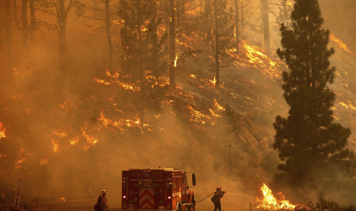 Kustutustööd Californias. Tulekahjusid on põrgukuumuses keeruline kustutada, sest lennukitest alla lastav vesi aurustub juba enne maapinnale jõudmist.