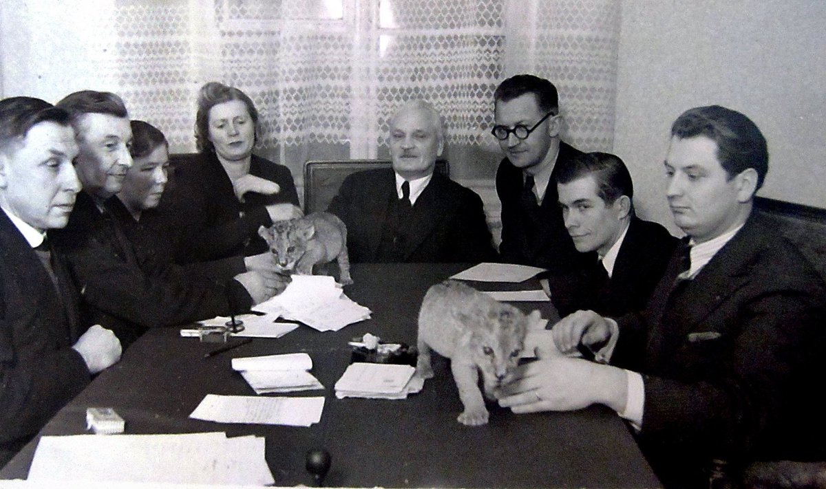 LÕVIKUTSIKAD SAID NIME: Eesti Looma­kaitseliidu koosolekul 22. detsembril 1939 otsustati kutsikate nimeks panna Kõu ja Vilgas. Laual on ka asjaosalised ise.