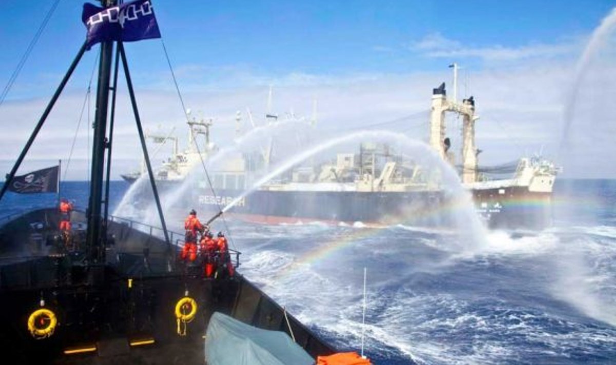 Äärmuslikud ajad, äärmuslikud abinõud: Sea Shepherdi aktivistid on suunanud veekahuri joa vaalatöötlemislaeva Nisshin Maru pihta. (Barbara Veiga / Sea Shepherd)